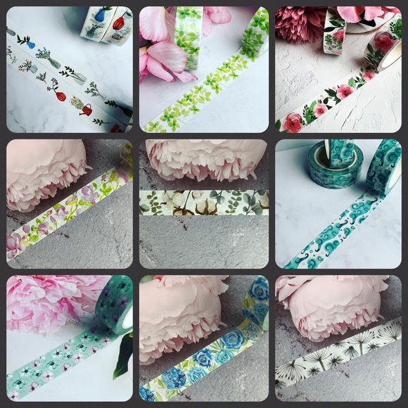 Meet your Posher, Daisy - Picture 7 of 15